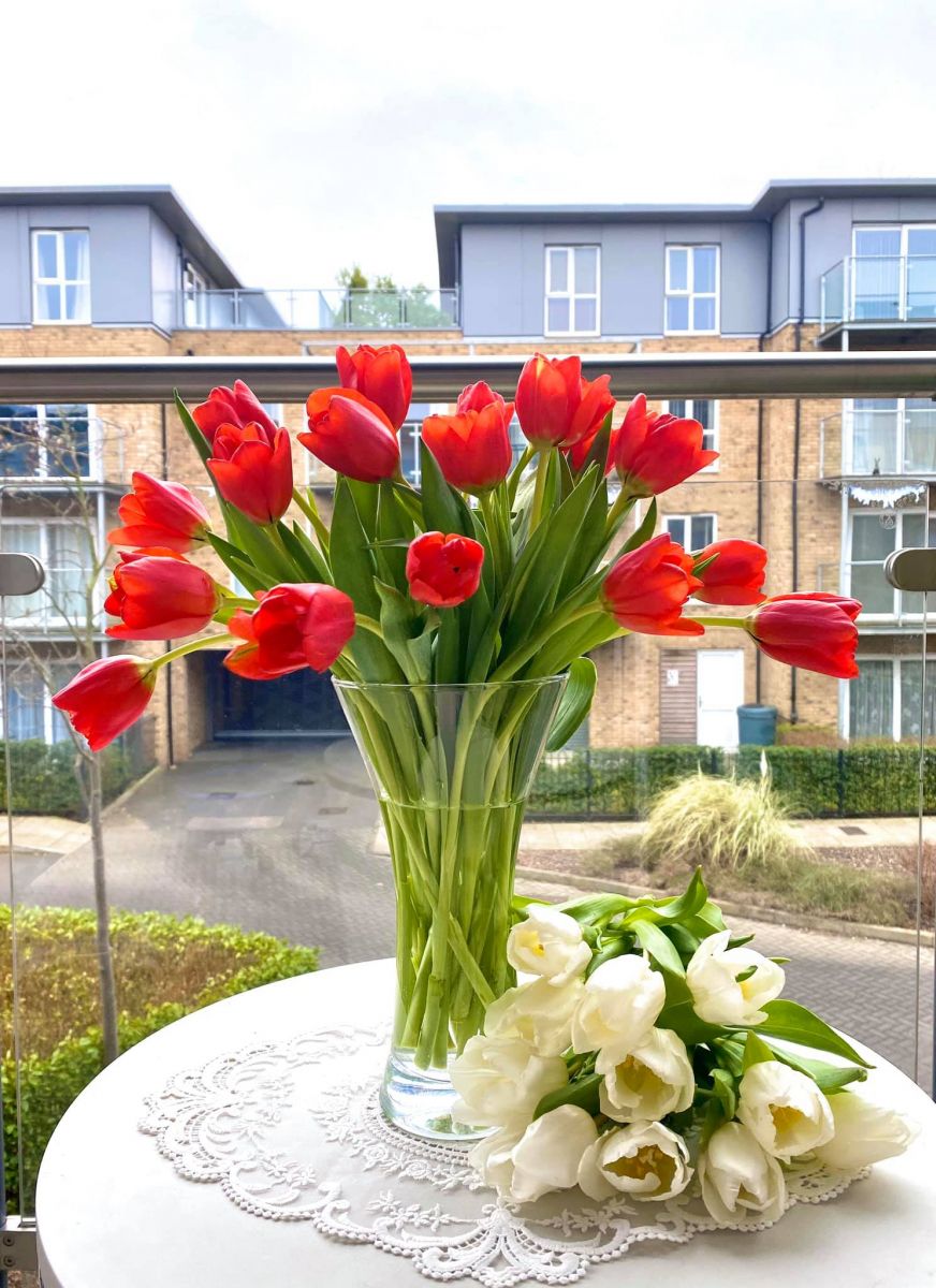 Tử vi ngày 7/5/2022 của 12 cung hoàng đạo